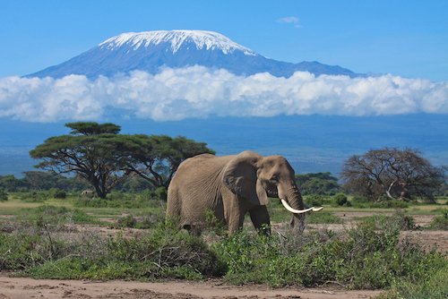Mount Kilimanjaro - highest mountain in Africa