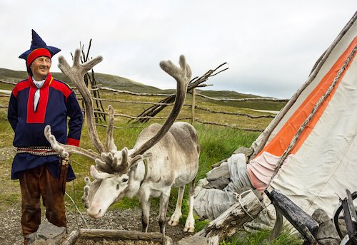Norway reindeer breeder
