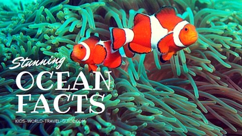 Ocean Facts - Kids World Travel Guide