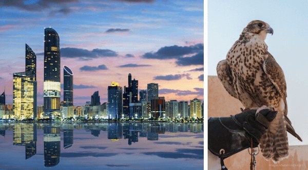 UAE Facts Header: Abu Dhabi is the capital city and falconry is a popular sports in the UAE - images by Shutterstock.com